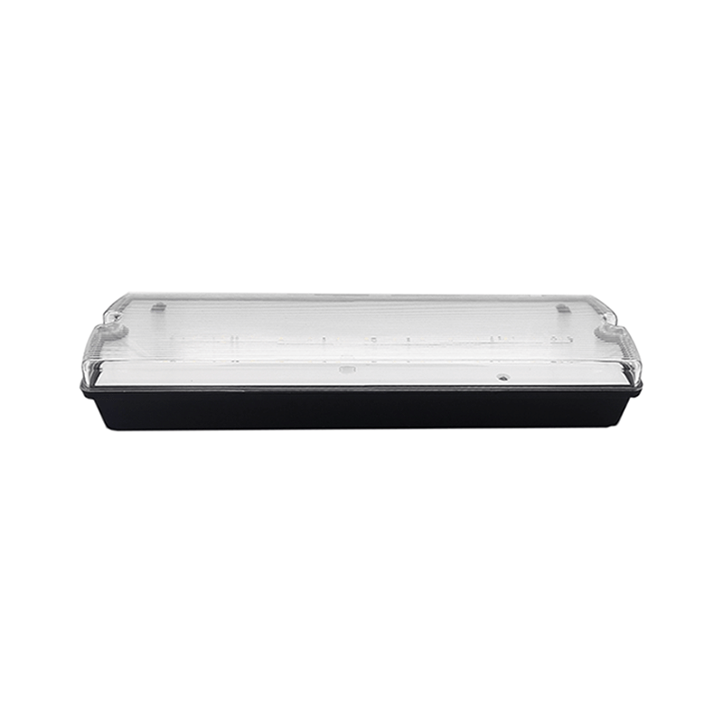 NOTBELEUCHTUNG 6W IP65 SCHWARZ (PIKTOGRAMME INKLUSIVE) MDRLED®