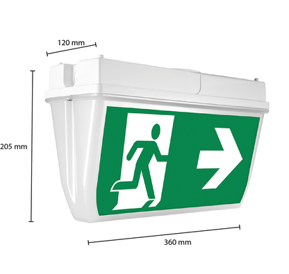 NOTBELEUCHTUNG, DECKE, 7 Watt, IP65, AUFBAUMONTAGE. MDRLED®