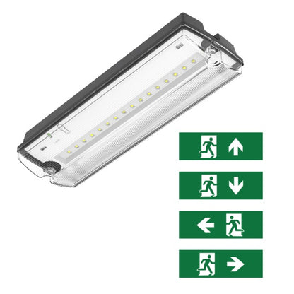 NOTBELEUCHTUNG 6W IP65 SCHWARZ (PIKTOGRAMME INKLUSIVE) MDRLED®
