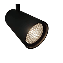 Blendfreie Linse Ø100mm Schienenstrahler MDRLED®